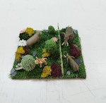 Image45 Small